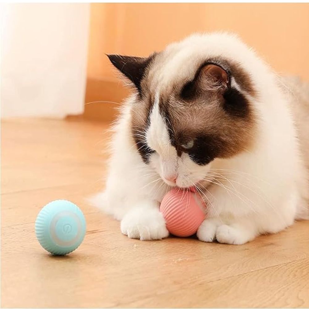 Pelota De Gato Recargable
